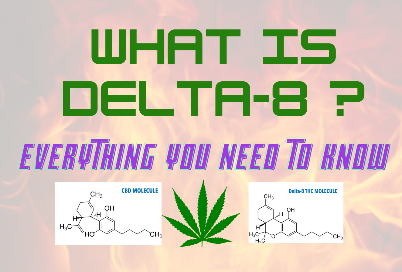 What is Delta 8? Everything You Need to Know – eJuices.co