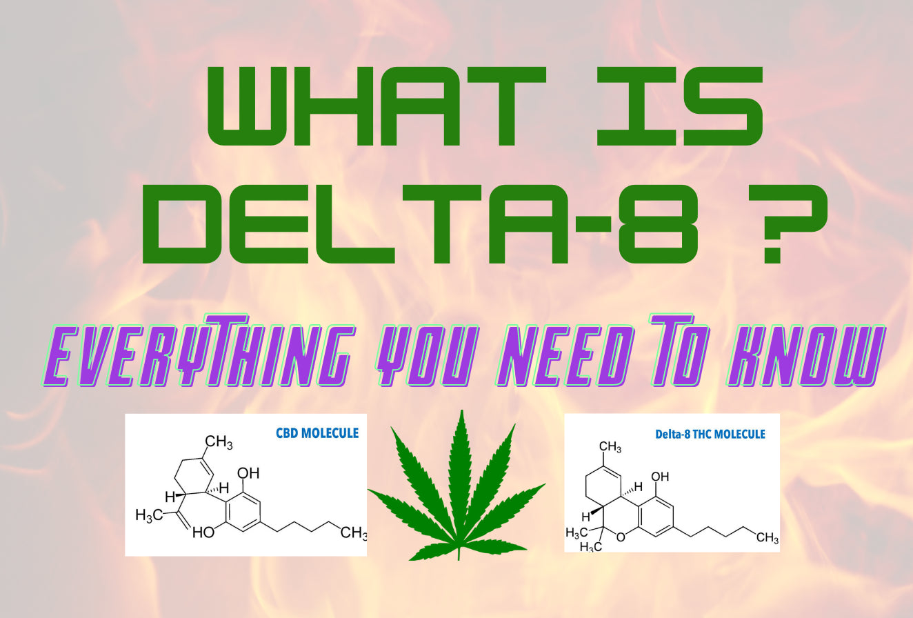 What Is Delta 8? Everything You Need To Know – Ejuices.co