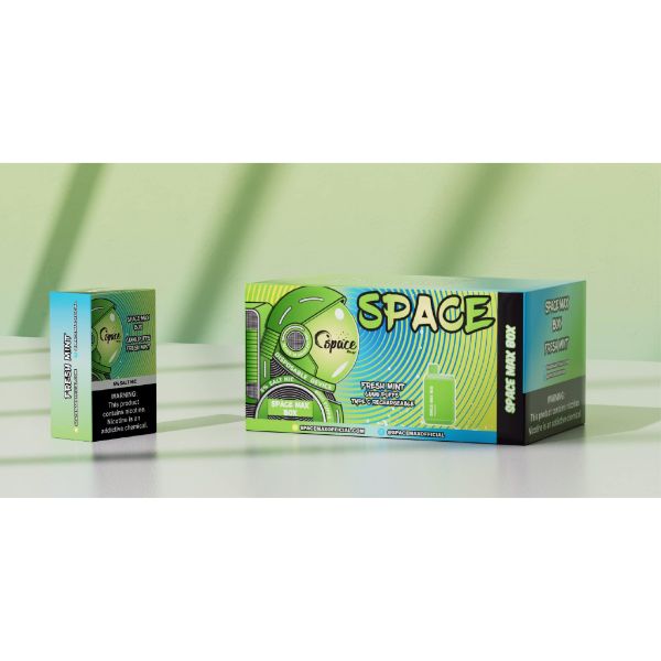 Space Max Box 6000 Puffs Rechargeable Vape Disposable 15mL 10 Pack Best Flavor Fresh Mint