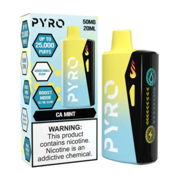 Best Deal Pyro Boost 25000 Puffs Disposable Vape 20mL - CA Mint