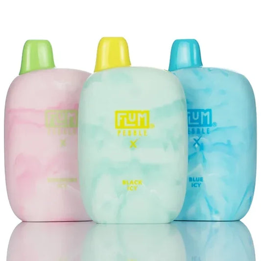 Flum Pebble X 6000 Puffs Disposable Vape - 14ML