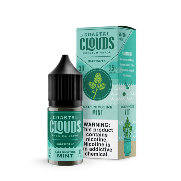 Coastal Clouds Salt 30ML Vape Juice Best Flavor Mint