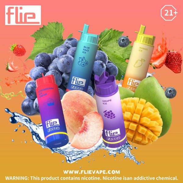 Flie Fatty 8000 Puffs Rechargeable Vape Disposable 16mL 10 Pack Best Flavors